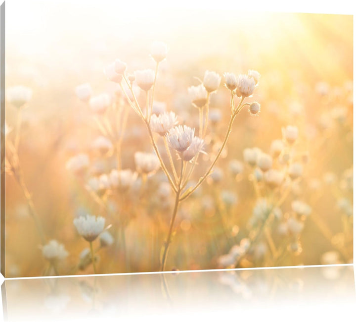 Romantische Blumenwiese, Format: 100x70 auf Leinwand, XXL riesige Bilder fertig gerahmt mit Keilrahm
