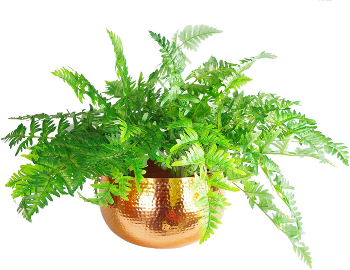 Leaf Metal Planter Staight Edge Blumentopf aus Metall, gehämmert, kupferfarben, gerader Rand, 30 x 2