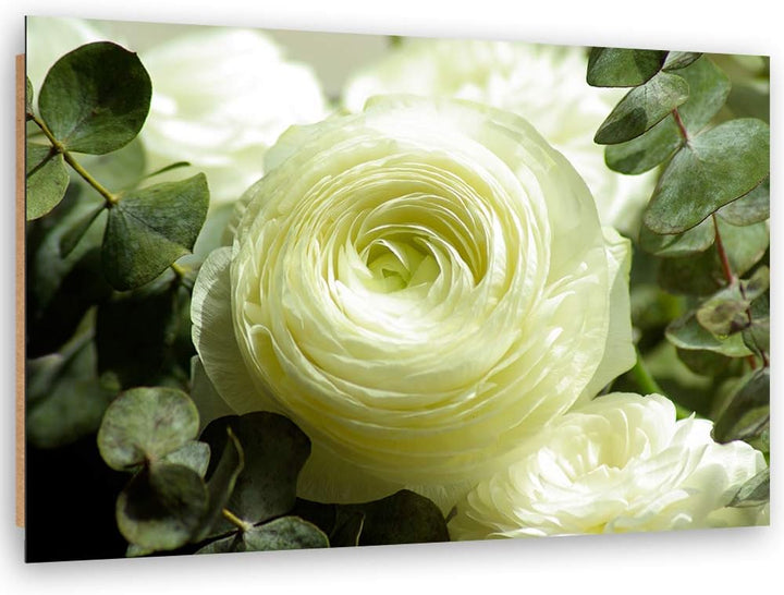 Feeby Wanddeko Rose Bild Kunstdruck modern Pflanze Grün 80x60 cm M14552 80x60 cm, M14552 80x60 cm