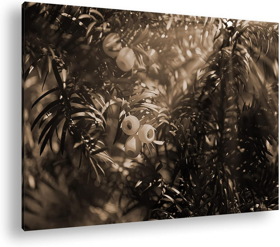 deyoli Eibe mit Früchten Effekt: Sepia Format: 80x60 als Leinwandbild, Motiv fertig gerahmt auf Echt