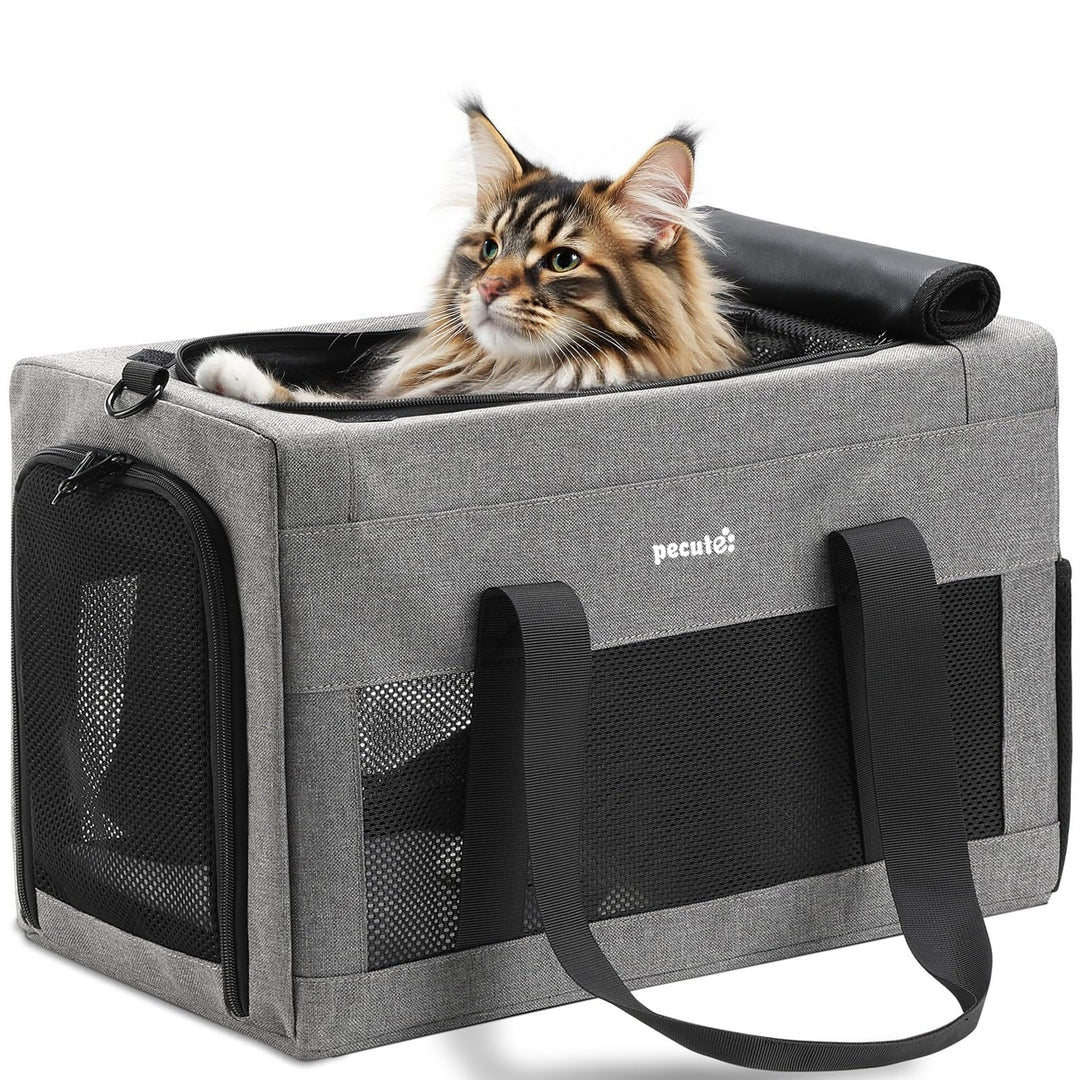 pecute Katzentasche Transporttasche Stabiler Halt Haustier Tragetasche, Transportbox Katze Leicht, F