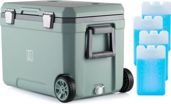 Brisby Kühlbox Camping - 45L, Kühlbox ohne Strom, inkl. 4 Dicke Kühlelemente, 3 Tage kühle Isolation