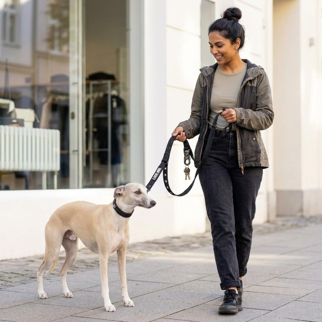 Hundeleine 2.0 LOCK DOG Schnitt und bissfest + 2 Schlösser und 3 Schlüssel sicher abschliessen Leine