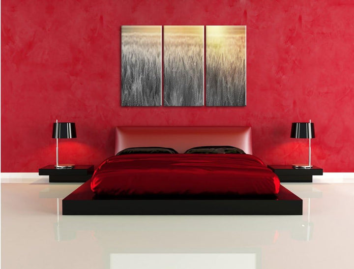 Pixxprint Romantisches Getreidefeld als Leinwandbild/Grösse: 3 Teilig (120x80) cm/Wandbild/Kunstdruc