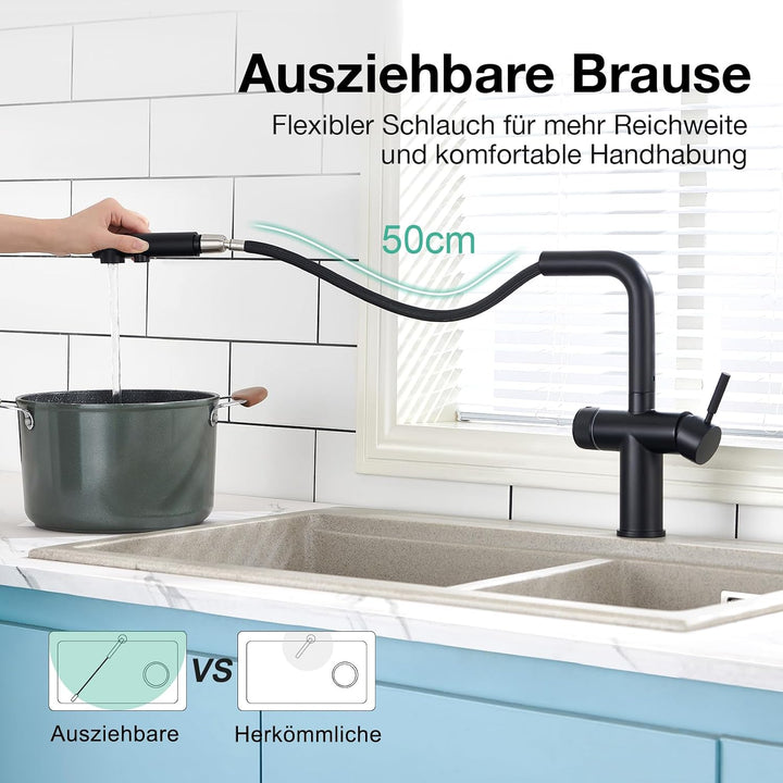 Faustina 3 Wege Küchenarmatur mit Brause ausziehbar, Doppelhebel Armatur Wasserhahn Spültischarmatur