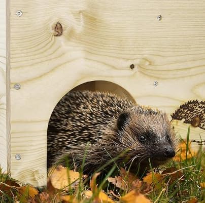 Igelhaus Igelhotel Igelhütte Futterhaus für Igel Igelfutterhaus Natur 2X wetterfest imprägniert ohne