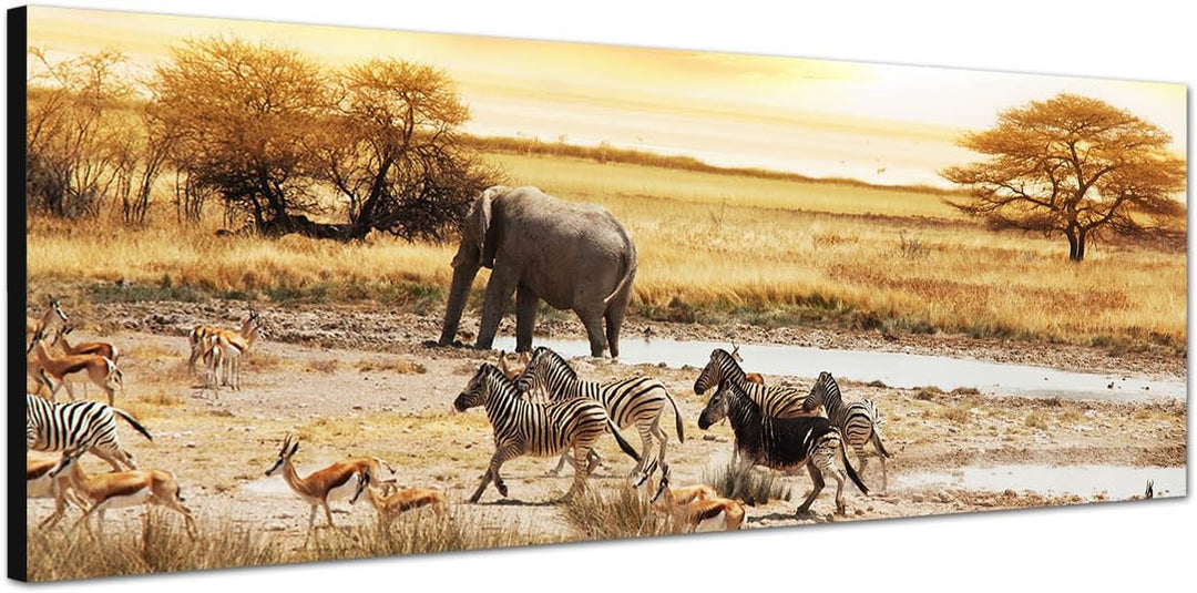 Paul Sinus Art Panoramabild auf Leinwand und Keilrahmen 120x40cm Afrika Safari Zebras Elefant Landsc