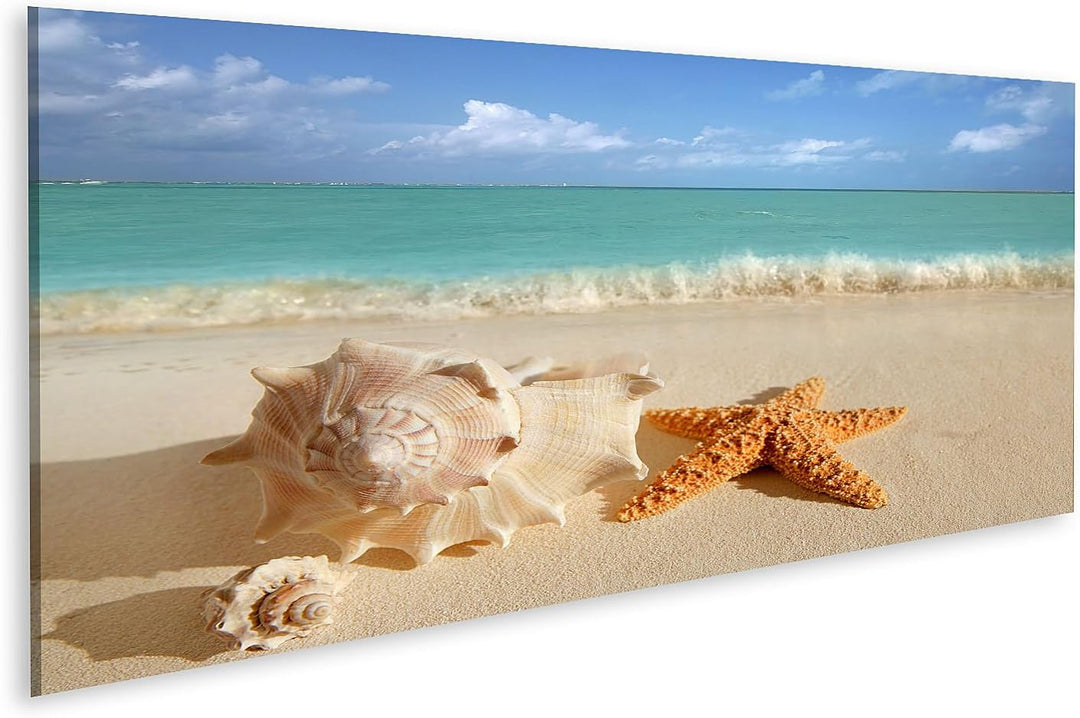 islandburner Bild auf Leinwand Meer Muschel Seestern Im Tropischen Sand Türkisfarbenes Meer Karibik