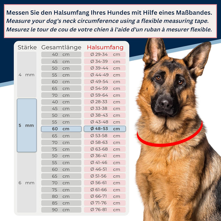 Kombikette für Hunde mit Halsumfang Ø 48-53cm aus Edelstahl V4A Hundekette mit Zugstop Kettenhalsban