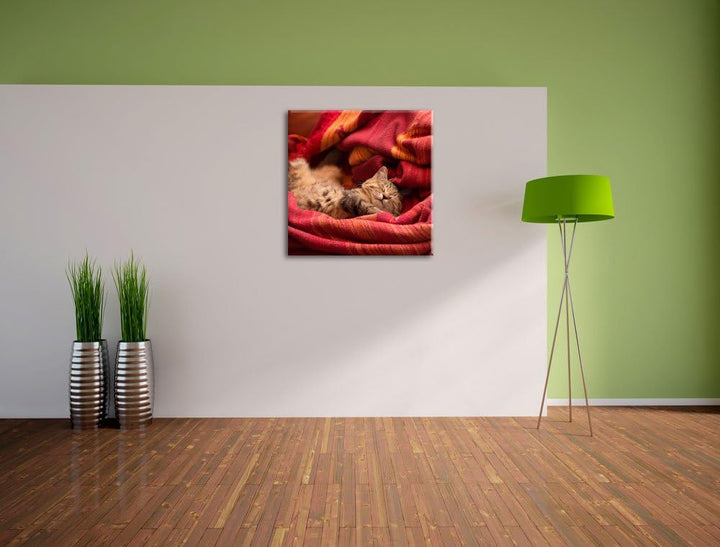 Pixxprint Babykatze, Format: 70x70 auf Leinwand, XXL riesige Bilder fertig gerahmt mit Keilrahmen, K