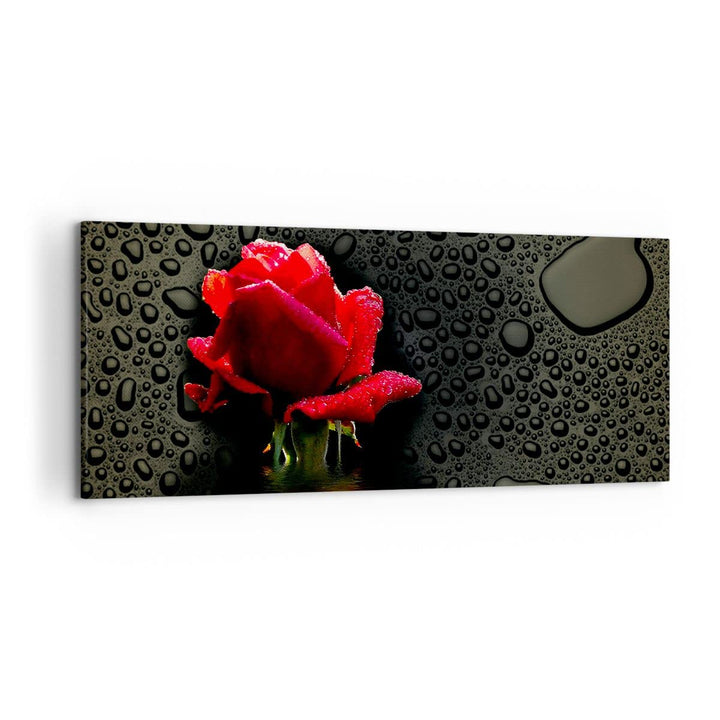 Wandbilder Dekoration Wohnzimmer Blume rote rose wasser tau Panorama Bilder auf Leinwand 120x50cm Le