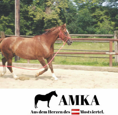 AMKA Bogenpeitsche Fahrpeitsche 120 cm für Horsemanship Bodenarbeit Fahrsport diverse Farben gummier