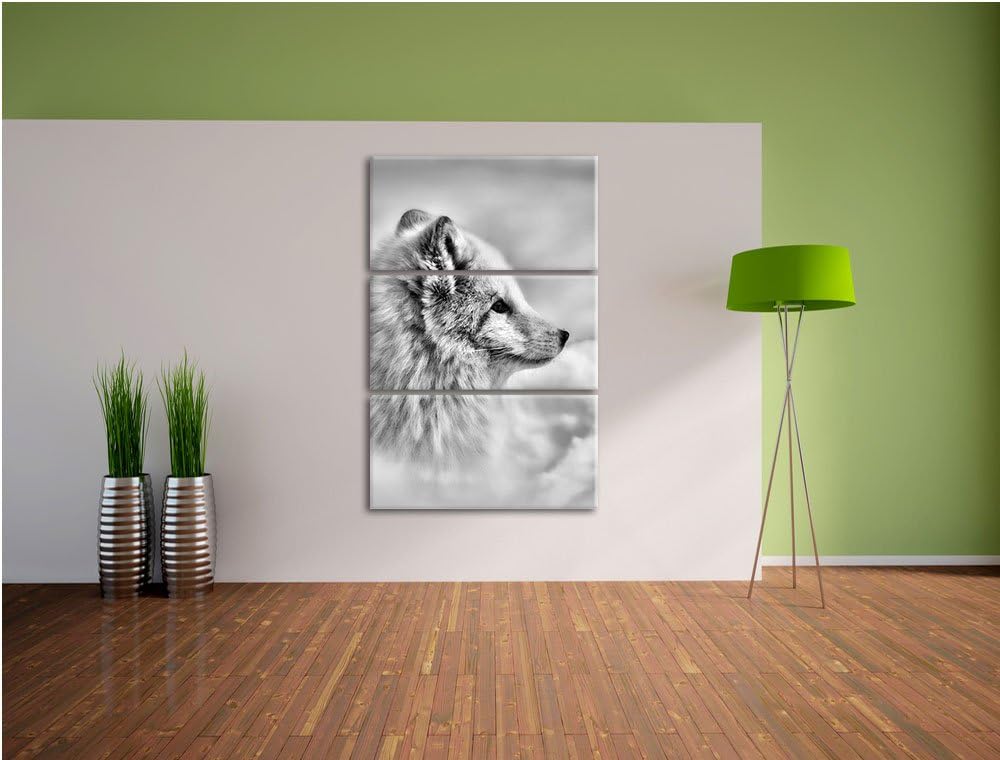 Pixxprint Anmutiger Polarfuchs im Schnee als Leinwandbild/Grösse: 3 Teilig (120x80) / Wandbild/Kunst