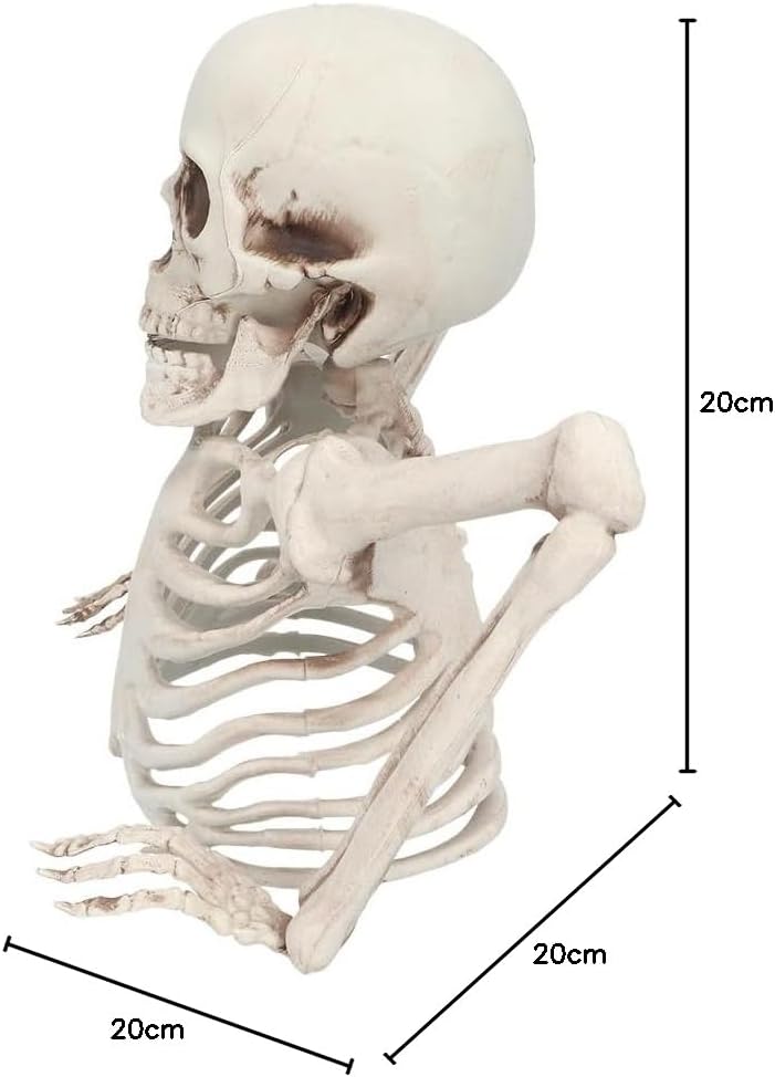 Boland 73214 - Skelett Dekoration, 20 cm, Deko für Halloween und Karneval, Party Deko
