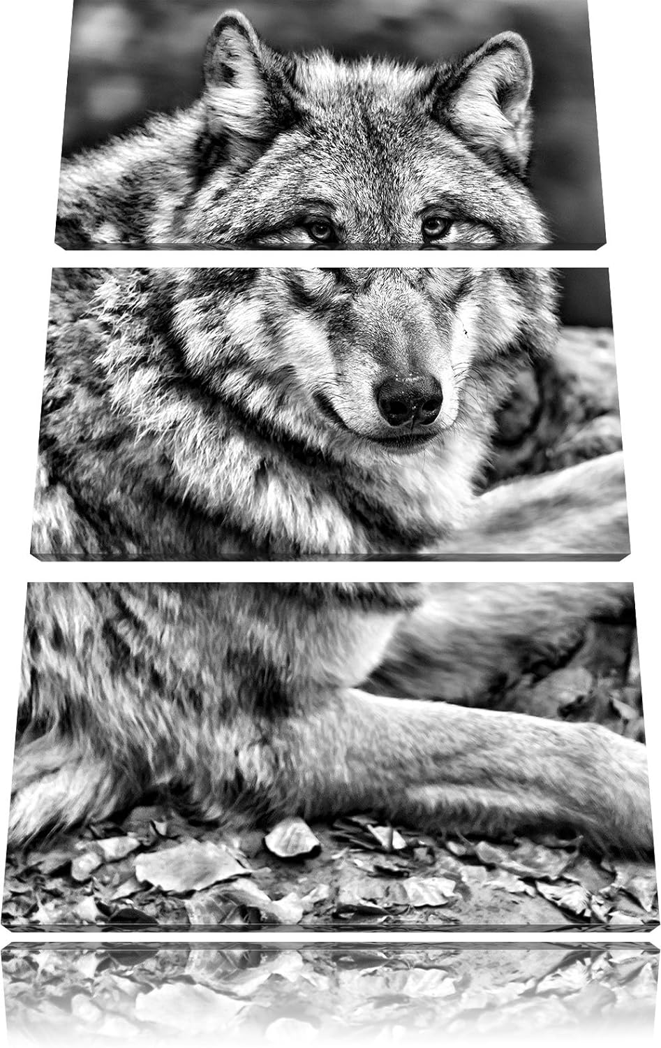 Pixxprint Monocrome, stolzer Wolf auf Stein 3-Teiler Leinwandbild 120x80 Bild auf Leinwand