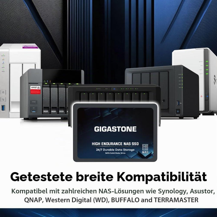 Gigastone NAS SSD 4TB SSD Festplatte (2er-Pack) Hohe Dauerhaltbarkeit SSD für 24/7 Dauerbetrieb NAS-