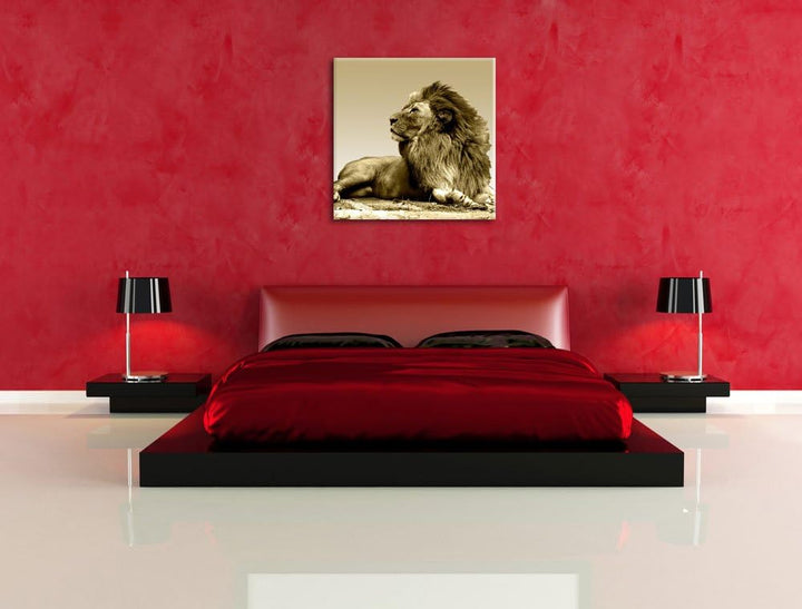 Pixxprint liegender Löwe, Format: 70x70 auf Leinwand, XXL riesige Bilder fertig gerahmt mit Keilrahm