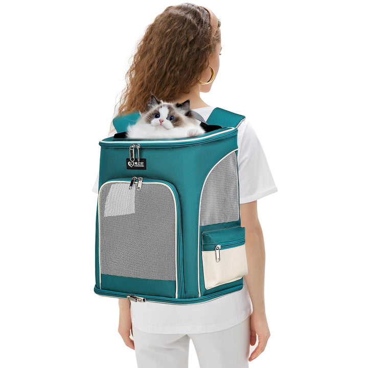 PETCUTE Hunde Rucksäcke Katzenrucksack,Atmungsaktiv Hunderucksack für Katzen und Hunde mit Herausneh