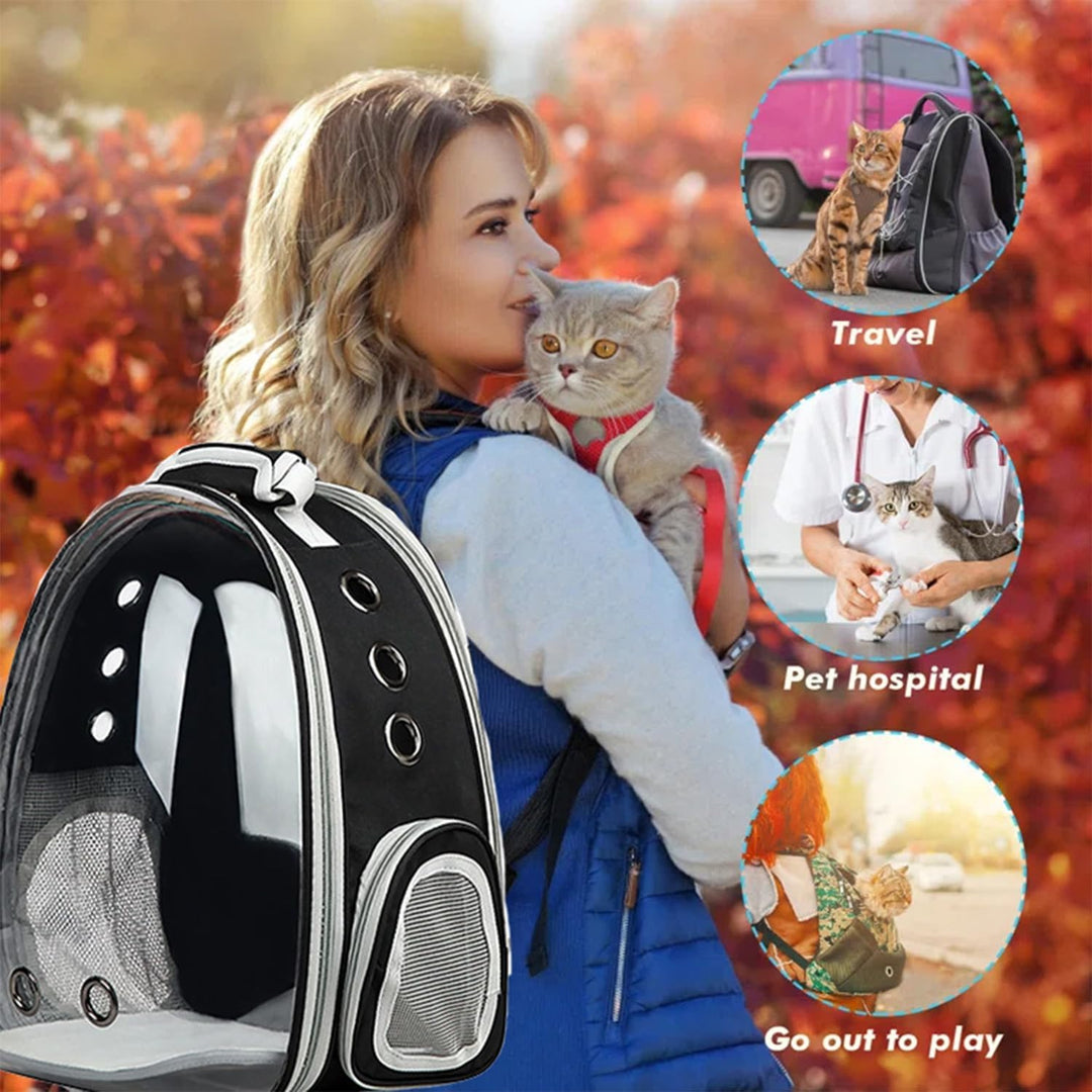 Katzen-Rucksack, Haustier-Tragetasche mit belüftetem Design zum Tragen von Welpen und Katzen, Hausti