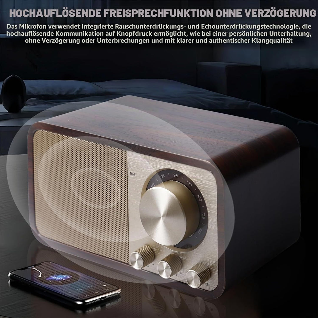 Retro Radio mit Bluetooth, Nostalgie Radio mit 1500mAh Akku wiederaufladbar, USB/TF-Karte/AUX, 5W La
