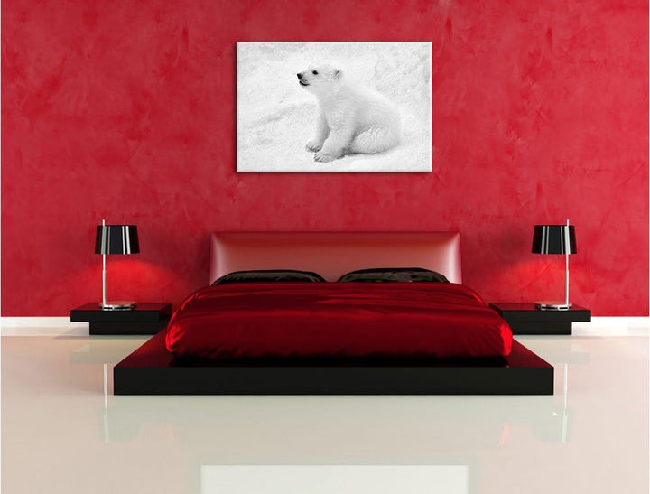 Pixxprint Eisbär Baby als Leinwandbild/Grösse: 100x70 cm/Wandbild/Kunstdruck/fertig bespannt, 100x70