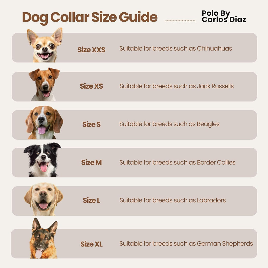Carlos Diaz Echtes Leder gewachstes Premium-Polo-Hundehalsband mit Stickerei XS XS (28-36cm) Braun,