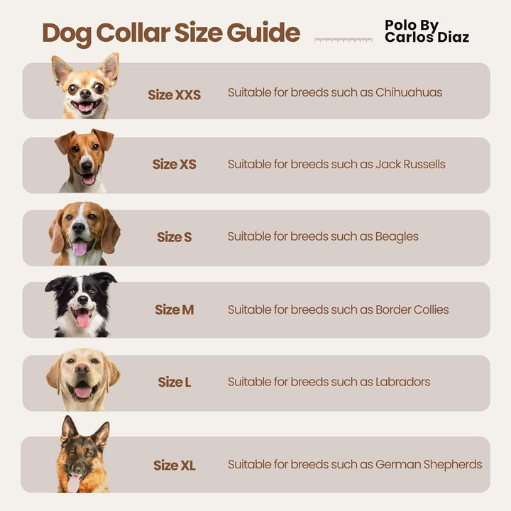 Carlos Diaz Echtes Leder gewachstes Premium-Polo-Hundehalsband mit Stickerei XS XS (28-36cm) Braun,