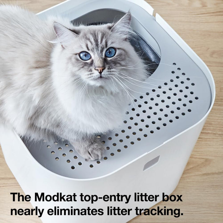 Modkat Katzentoilette Dacheinstieg, Weiss