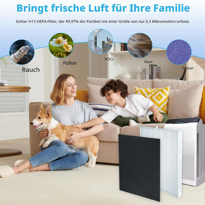 115115 HEPA Ersatzfilter a Kompatibel mit Winix PlasmaWave Luftreiniger 5300-2, C535, 6300-2, 5300,5