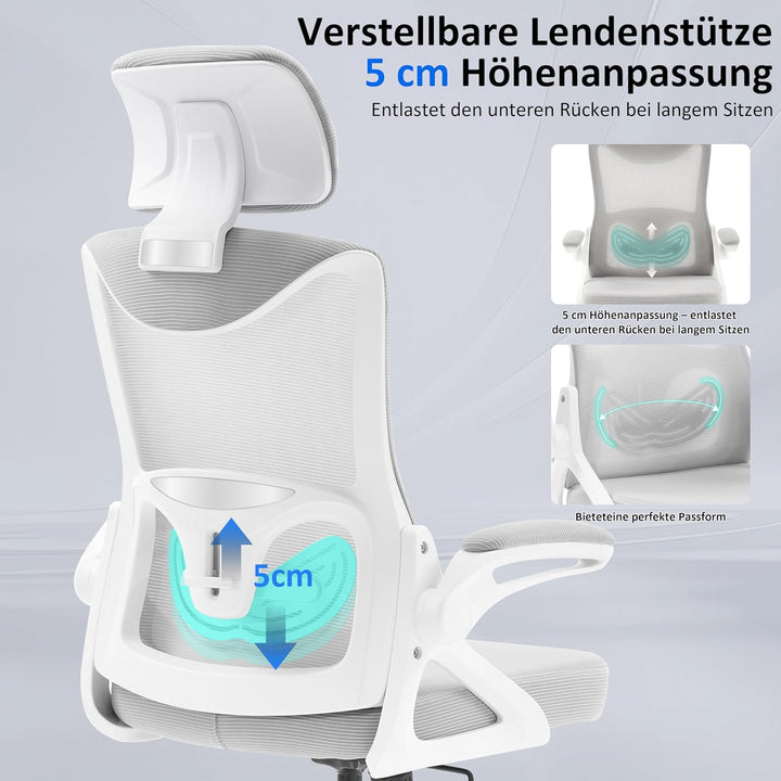 Fizzin Ergonomischer Bürostuhl Grau Schreibtischstuhl mit Verstellbarer Lendenstütze und Kopfstütze