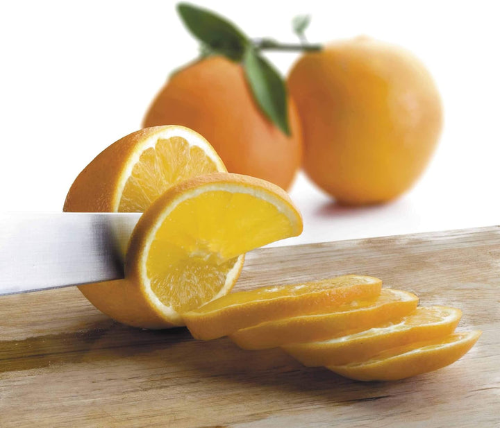 Lacor Dörrgerät für Lebensmittel, Fruchttrockner, 5 verstellbare Fächer, einstellbare Temperatur, Le