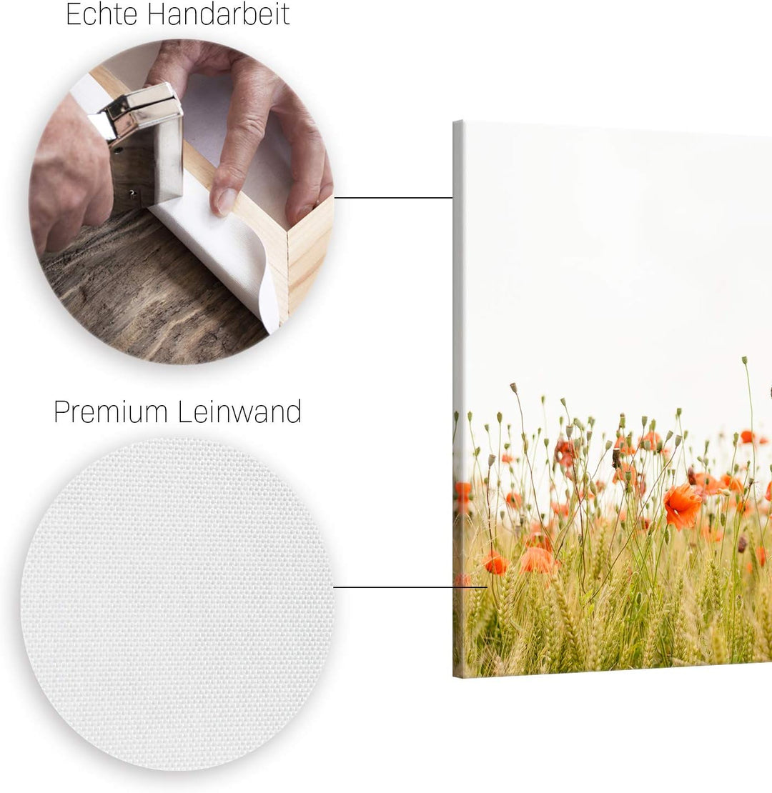 ge Bildet Bild auf Leinwand | Mohnfeld - blumen natur M in 120x80 cm als Wandbild XXL | Wand-deko De