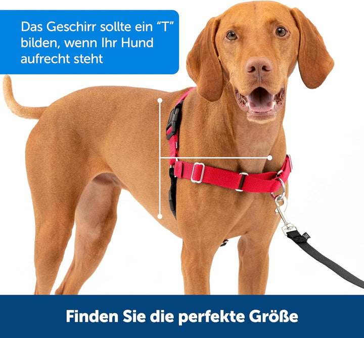 PetSafe Easy Walk-Geschirr, Anti-Zieh-Hundegeschirr, Verringert Würgen und Husten, Mit 1,8 M Leine,
