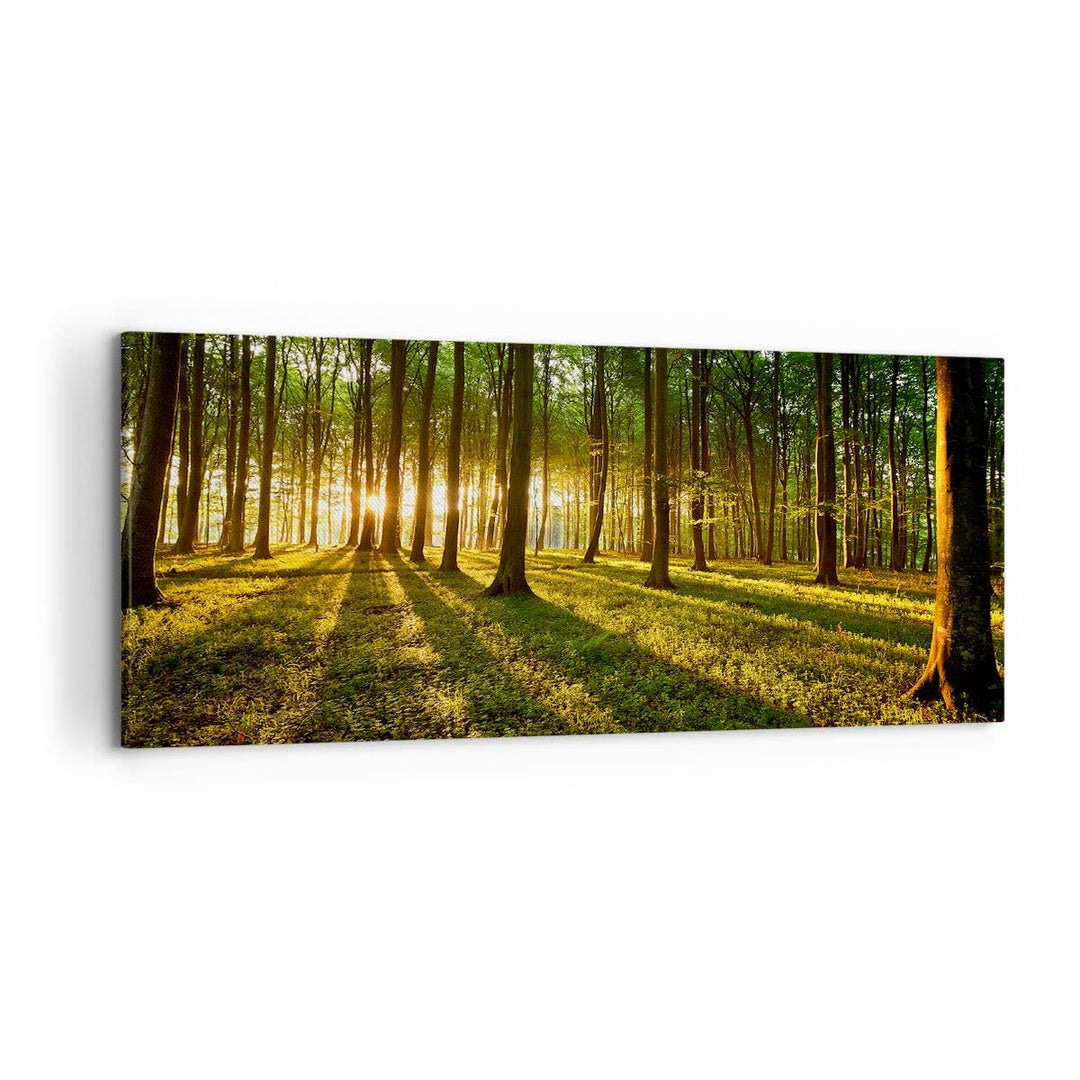 Wandbilder Dekoration Wohnzimmer Wald grün Sonnenstrahlen Natur Panorama Bilder auf Leinwand 120x50c