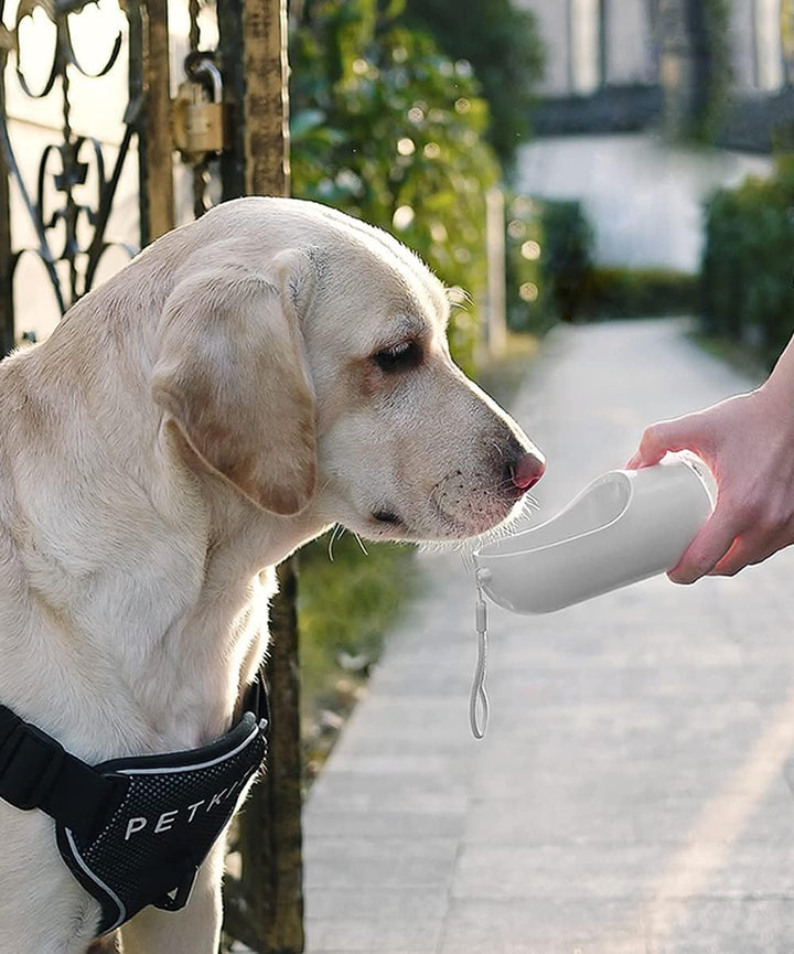 PETKIT Eversweet Wasserspender, Trinkflasche für Hunde, Reisen, für Haustiere, BPA-frei, antibakteri