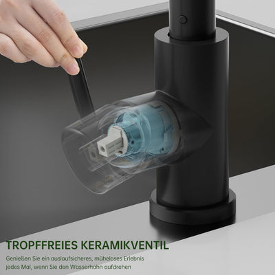 DAYONE Schwarz Niederdruck Wasserhahn Küche, Niederdruck Armatur Küche Ausziehbar 3 Anschlüsse, 2 St