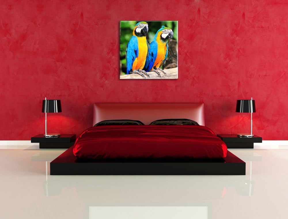 Zwei Papageien, Format: 70x70 auf Leinwand, XXL riesige Bilder fertig gerahmt mit Keilrahmen, Kunstd