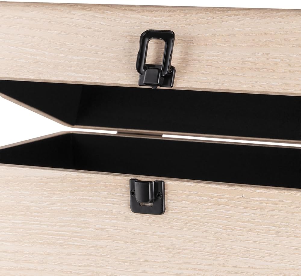 Audizio RC32 - Robuster Koffer für Schallplatten Aufbewahrung - Design Vinyl Holder - Plattenkoffer