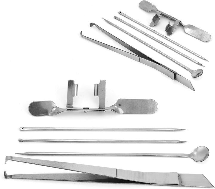 5 Stück Capon Knife Tool Edelstahl Kastration Huhn Tool Kit Geflügelfarmen Veterinärinstrument für H