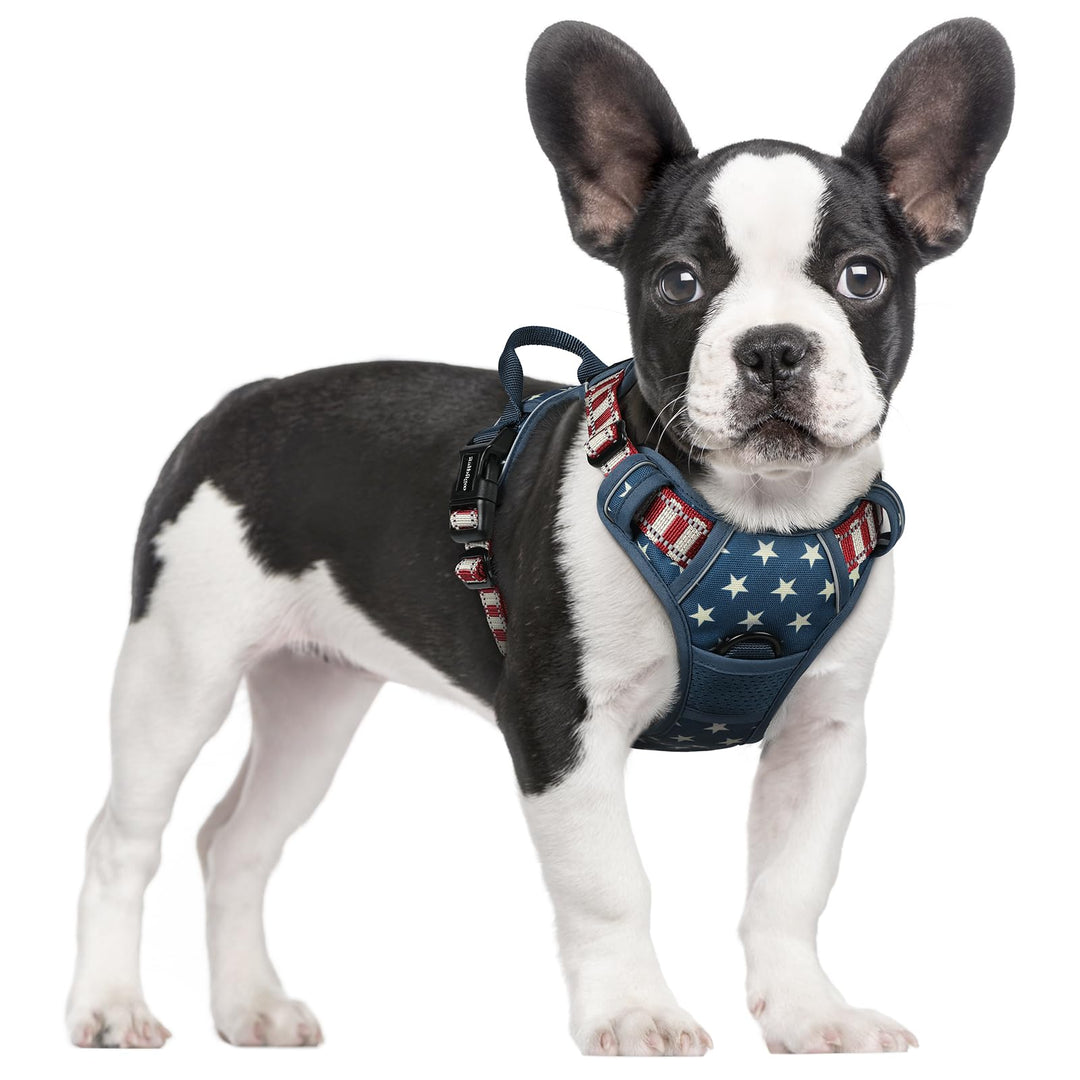 rabbitgoo Hundegeschirr Mittelgrosse Hunde, Anti Zug Geschirr mit Kontrolle, No Pull Verstellbar Hun