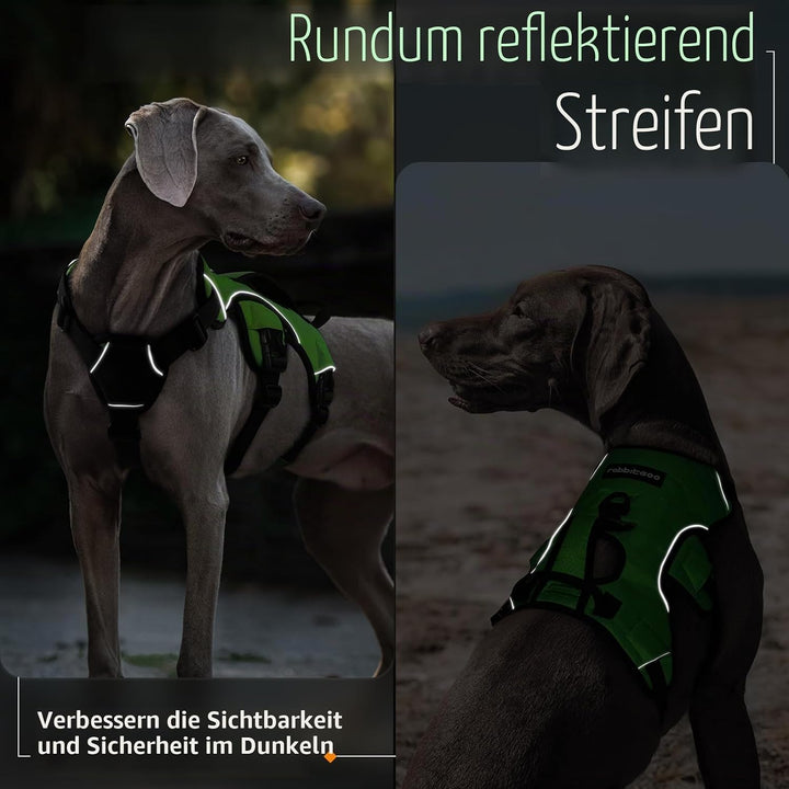 rabbitgoo Ausbruchsichere Hundegeschirr Grosse Hunde mit Griff, Anti Zug Sicherheitsgeschirr Hund At