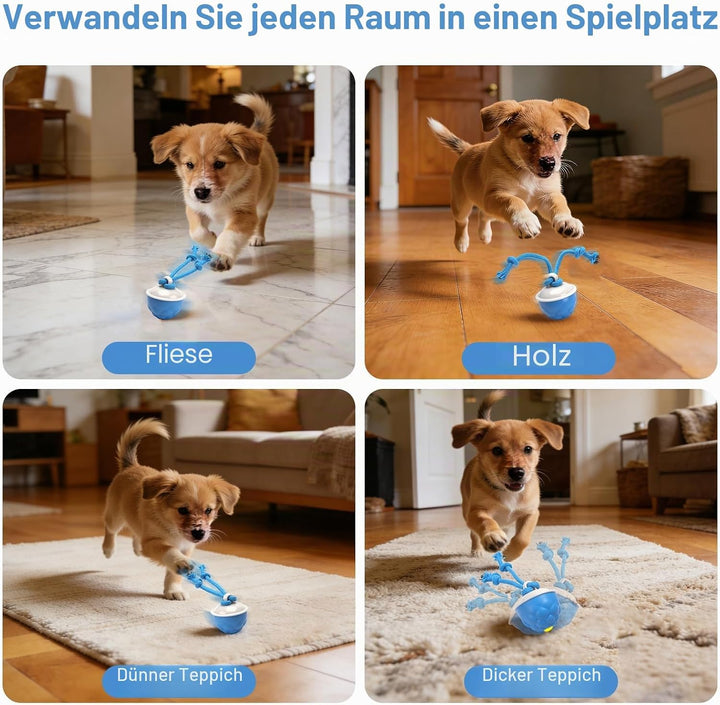 Interaktives Hundespielzeug, Interaktiver Spielball für Hunde mit Seil, gibt Vogelgeräusche von Sich