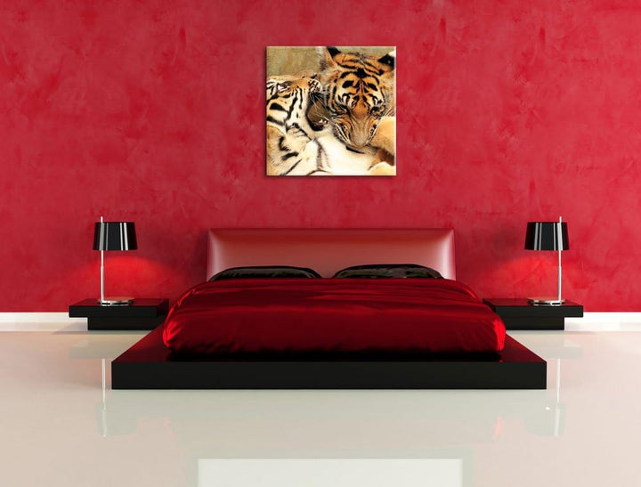 Pixxprint Zwei Junge Tiger beim Kämpfen als Leinwandbild | Grösse: 70x70 cm | Wandbild| Kunstdruck |