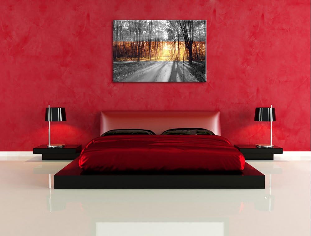Allee im Herbstlicht schwarz/weiss Format: 100x70 auf Leinwand, XXL riesige Bilder fertig gerahmt mi