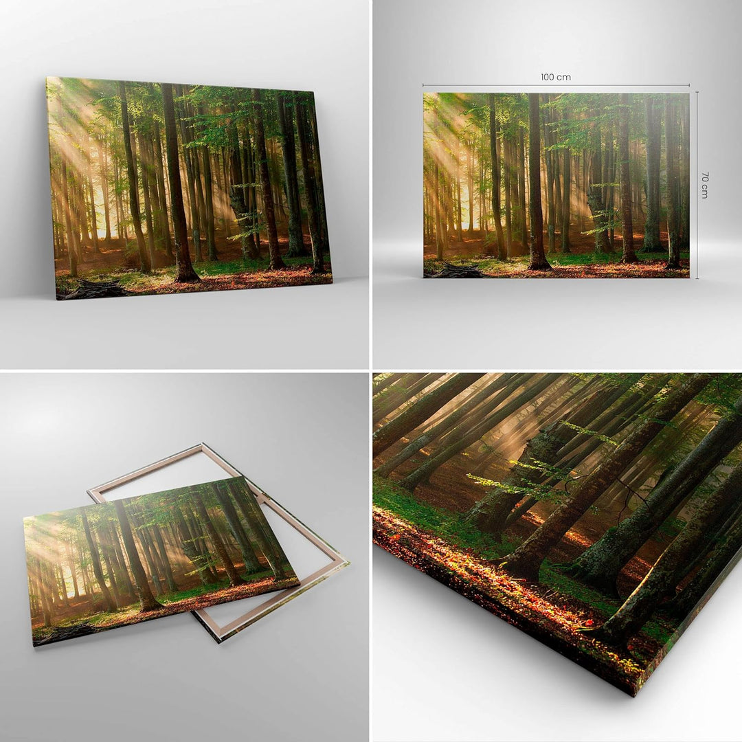 Bilder auf Leinwand 100x70cm Leinwandbild mit Rahmen Wald Baum Natur Gross Wanddeko Bild Schlafzimme
