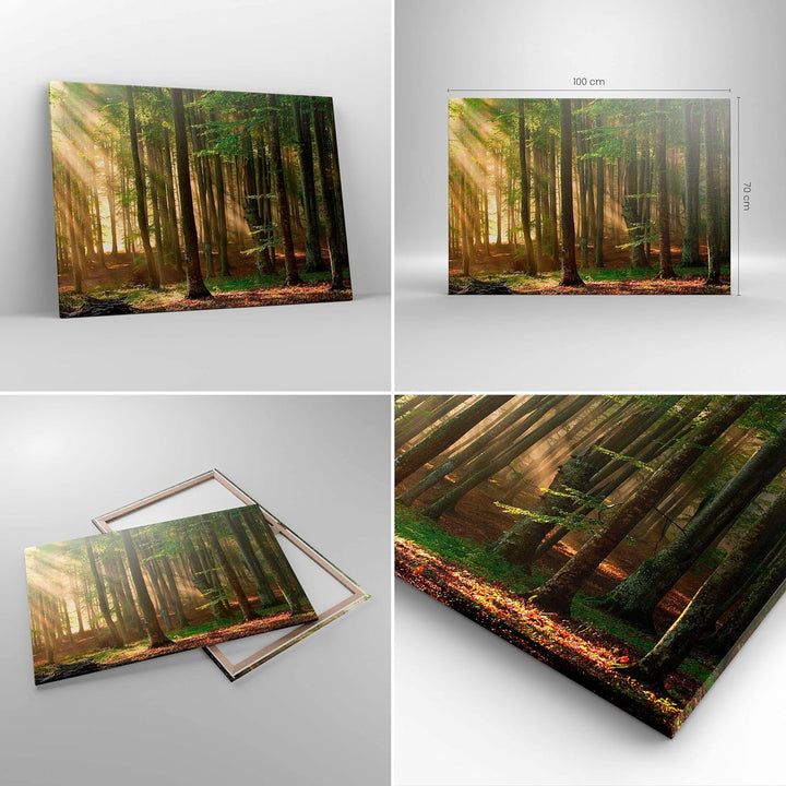 Bilder auf Leinwand 100x70cm Leinwandbild mit Rahmen Wald Baum Natur Gross Wanddeko Bild Schlafzimme