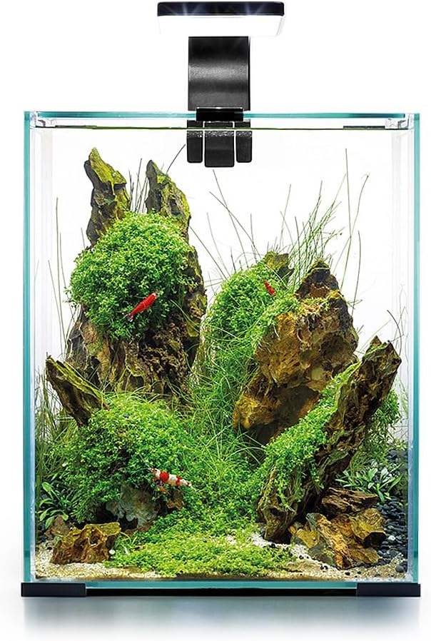 Aquael 122976 Shrimp Set Day&amp;Night 10, schwarz, 3.26 kg, 10 Liter schwarz 10 Liter, schwarz 10 Liter