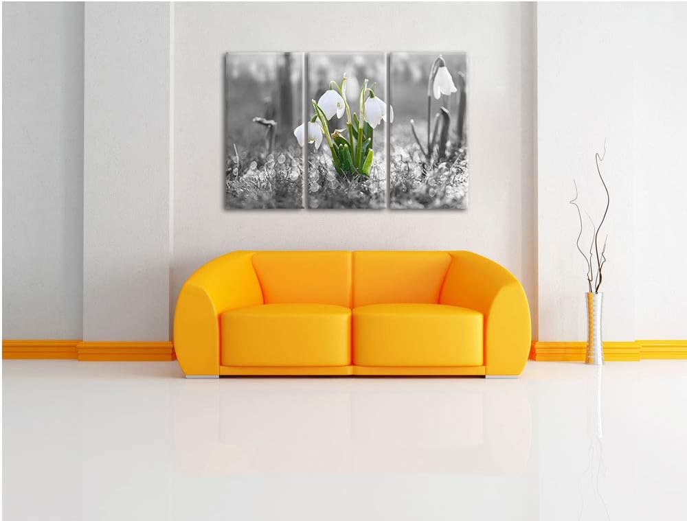 Pixxprint Schneeglöckchen im Morgentau als Leinwandbild | Grösse: 3 Teilig (120x80) | Wandbild| Kuns
