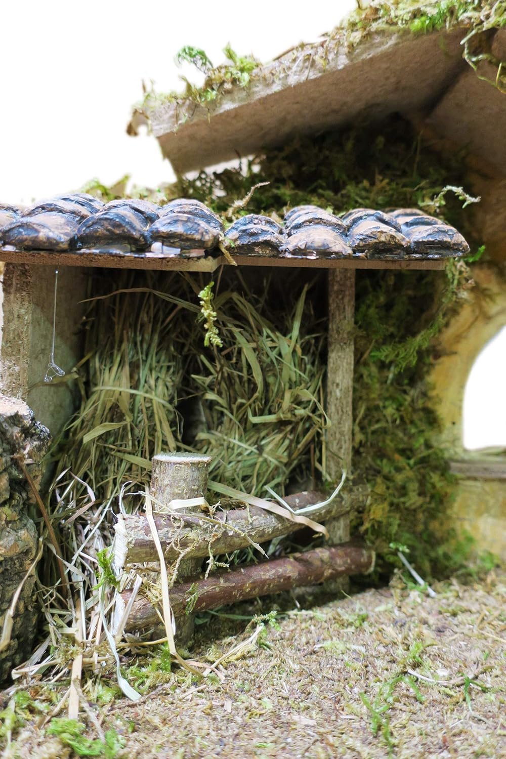 Ferrari & Arrighetti Leere Holzhütte mit Zaun, Holz, Mehrfarbig, Einheitsgrösse