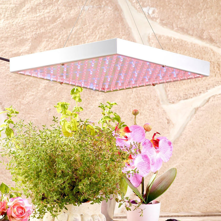 Lunartec Profi LED-Pflanzen-Wachstums-leuchtpanels, 225 LEDs, 3er-Set